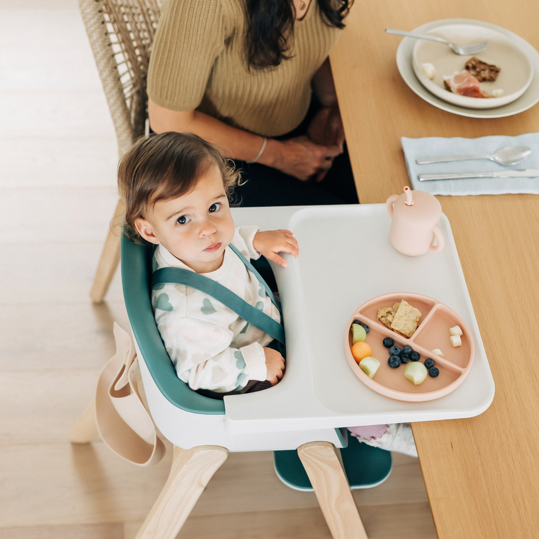 UPPAbaby | Ciro High Chair