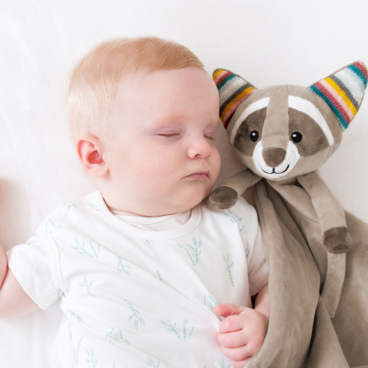 ZAZU baby Comforter Robin with sound module to play white noise, lullaby's and a recorded sound.