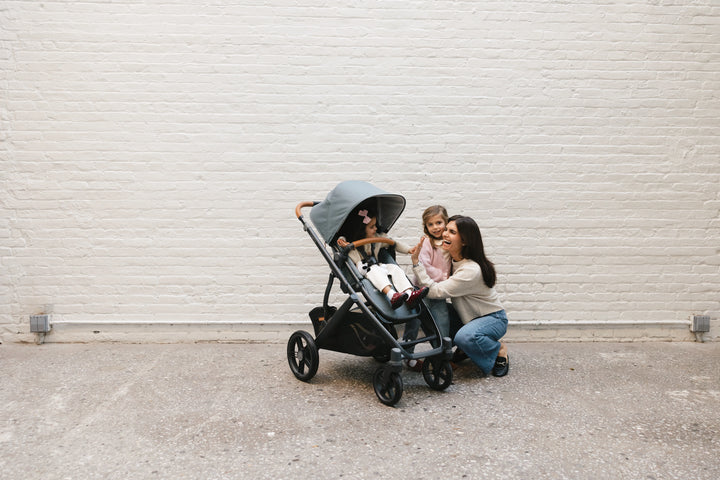 UPPAbaby | Vista V3