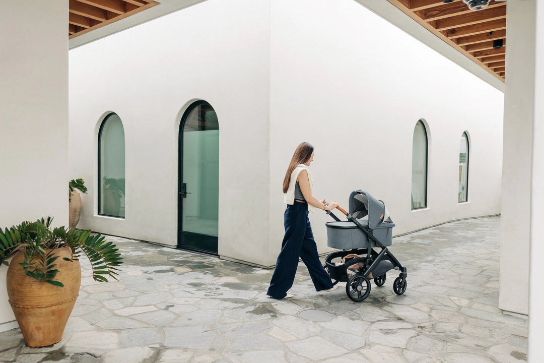 UPPAbaby | Vista V3