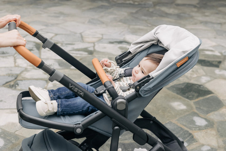 UPPAbaby | Vista V3