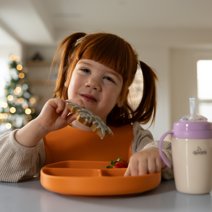 Quark | Feedi Silicone Dining Set