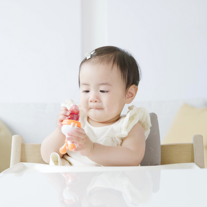 Quark | Fruuti Silicone Fruit Feeder