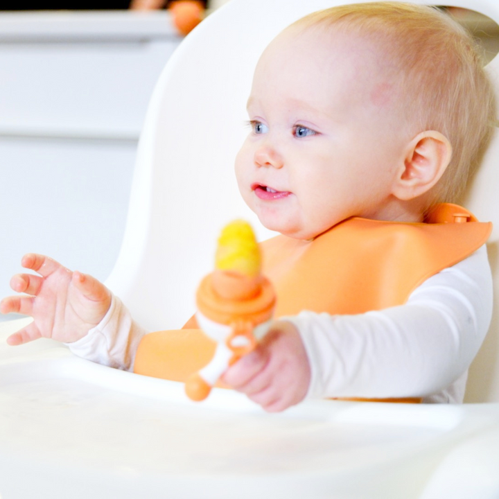 Quark | Fruuti Silicone Fruit Feeder