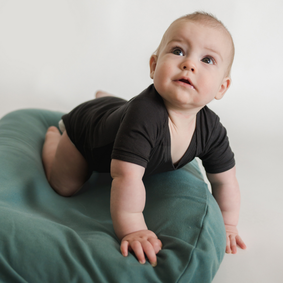 SnuggleMe | Infant Lounger Organic Cotton Cover