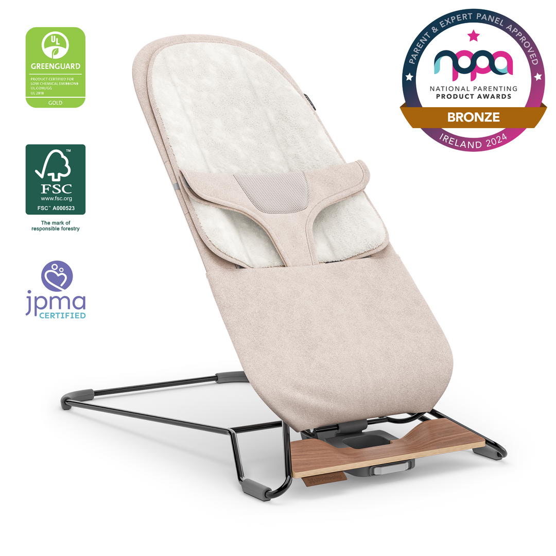 2 in 1 baby bouncer sales