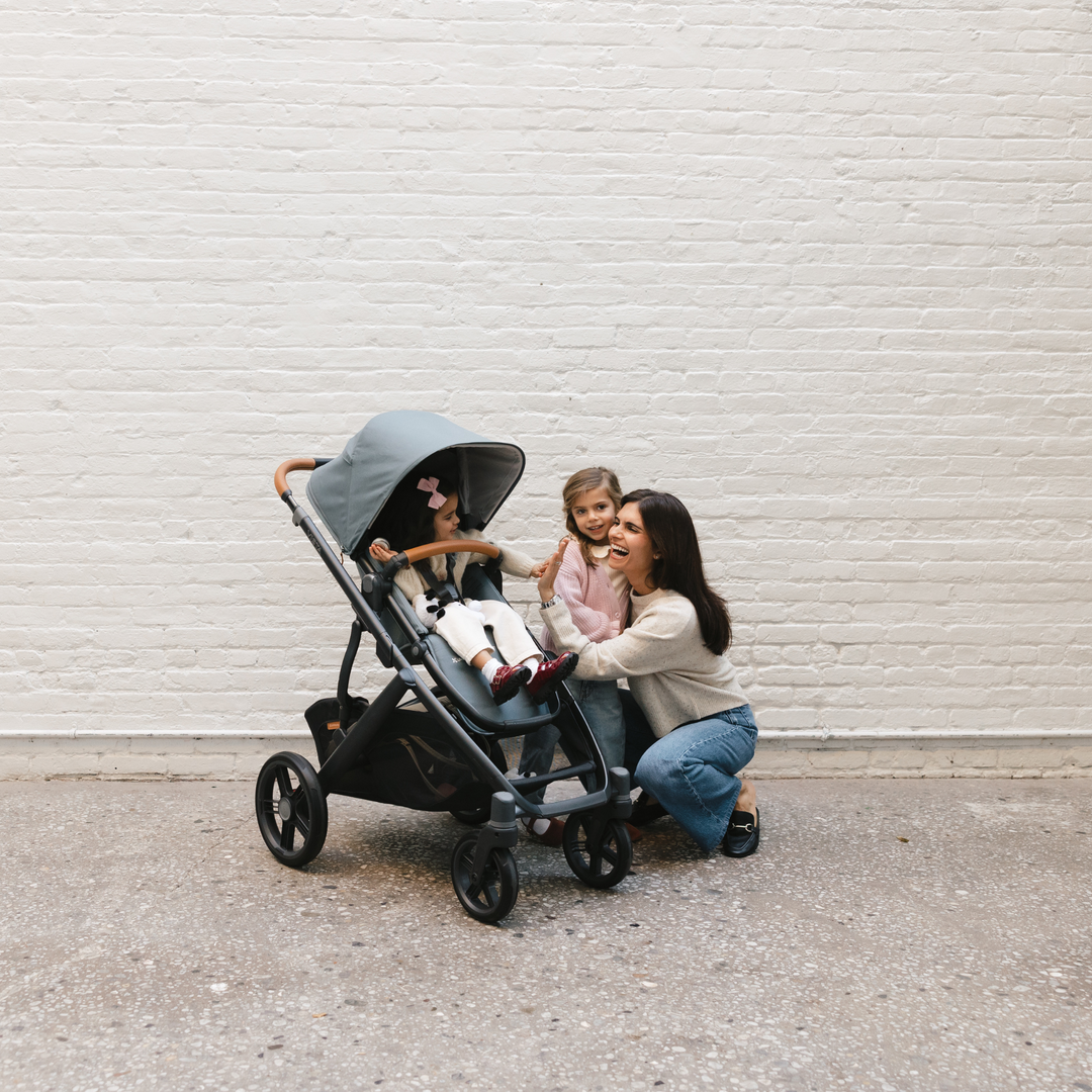 UPPAbaby | Vista V3