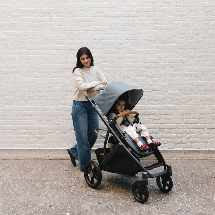 UPPAbaby | Vista V3