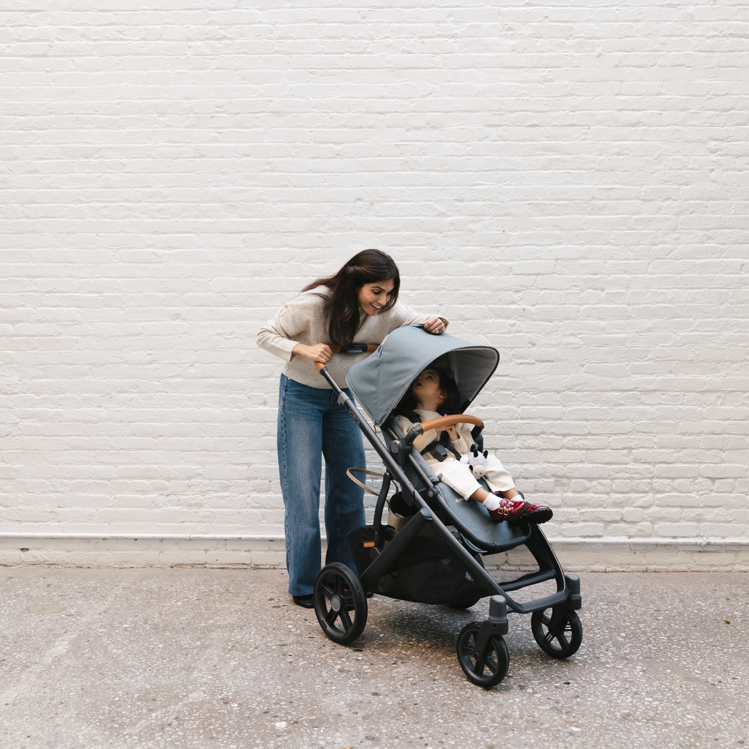 UPPAbaby | Vista V3