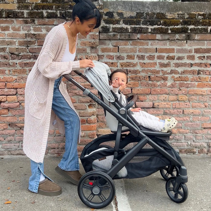 UPPAbaby | Vista V3