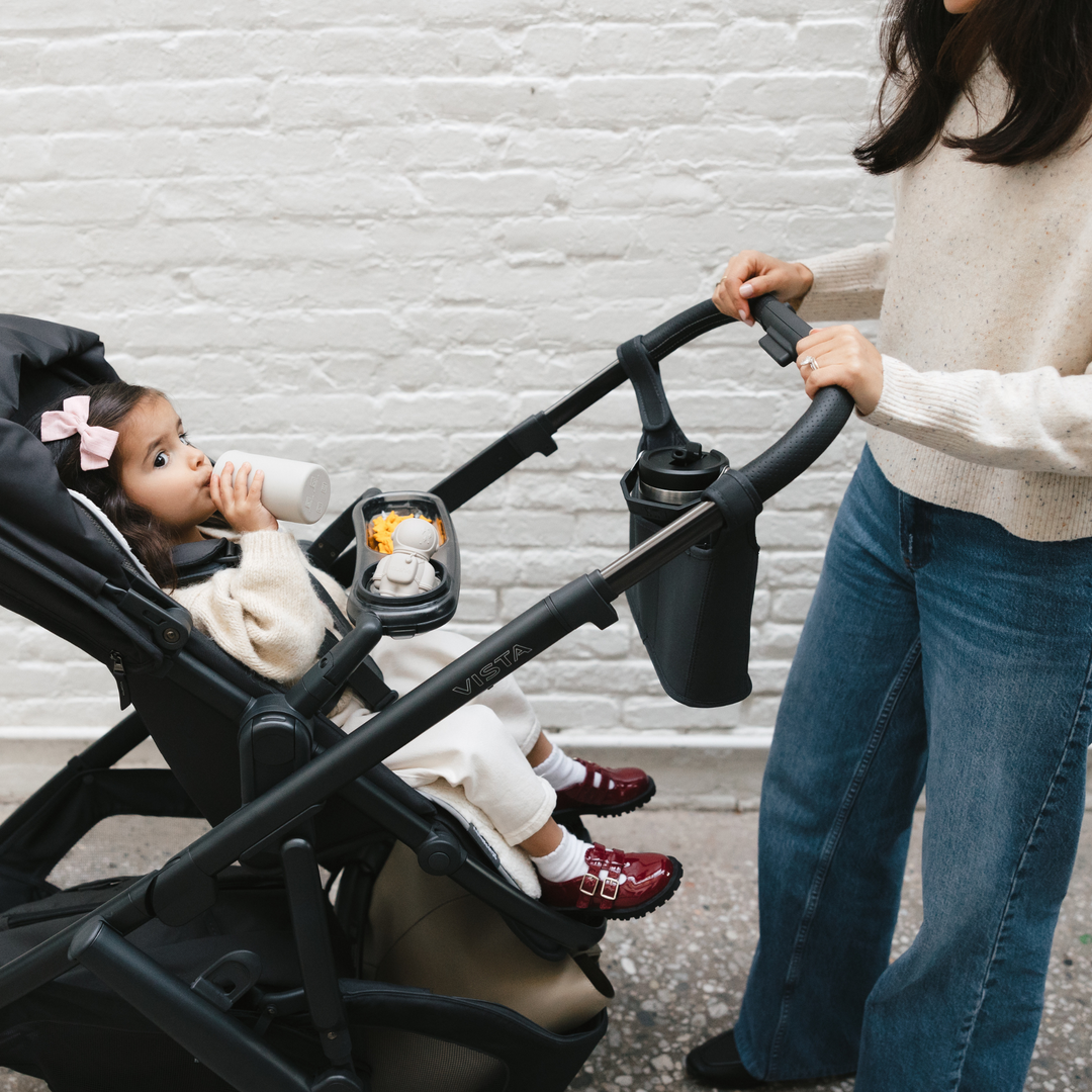 UPPAbaby | Carry-All Parent Organiser