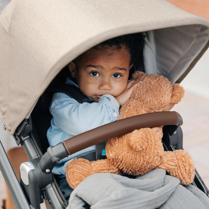UPPAbaby | Vista V2