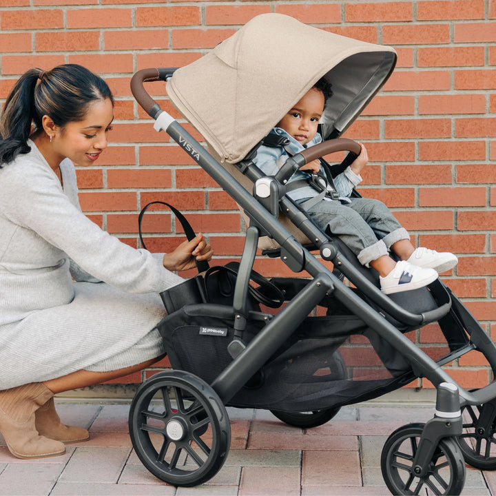 UPPAbaby | Vista V2
