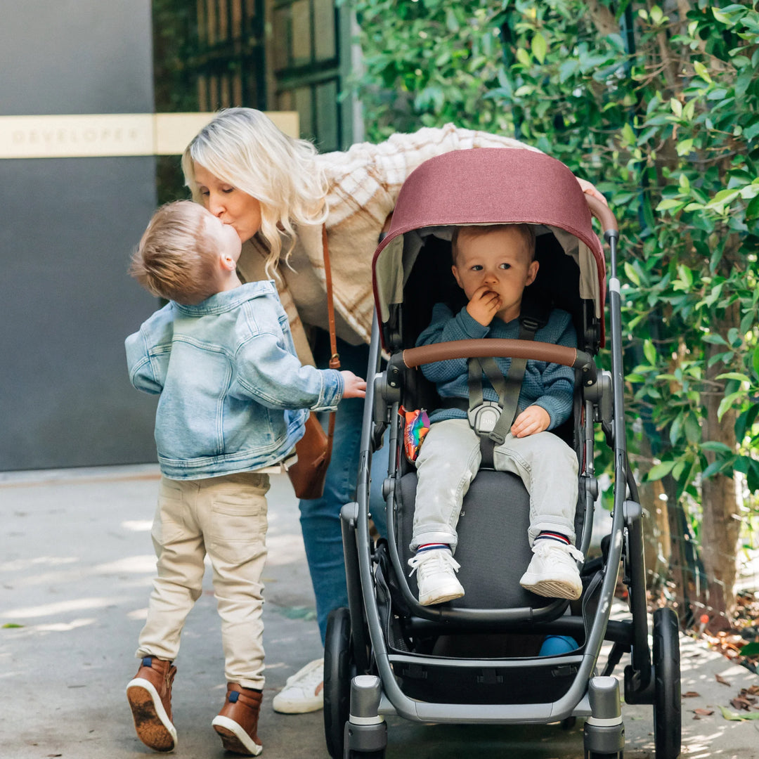 UPPAbaby | Vista V2