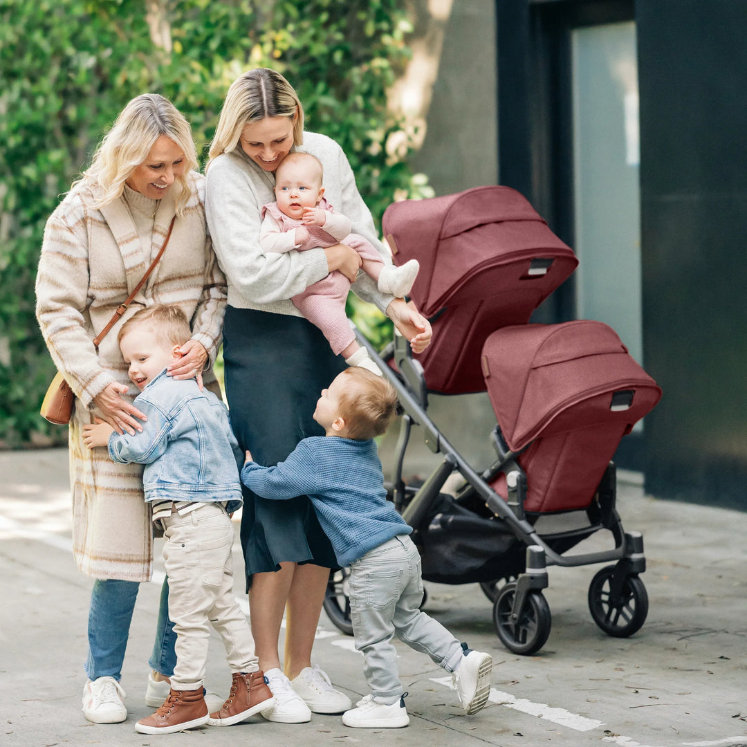 UPPAbaby | Vista V2
