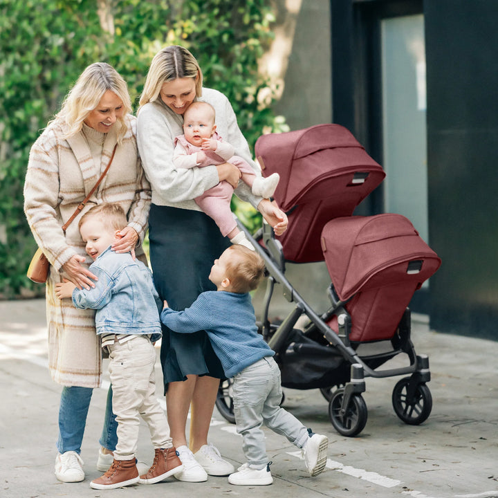 UPPAbaby | Vista V2