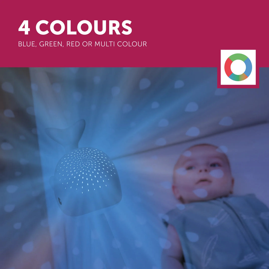 ZAZU | Wally the Whale