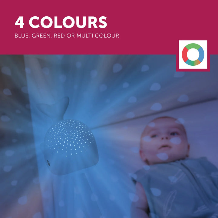 ZAZU | Wally the Whale