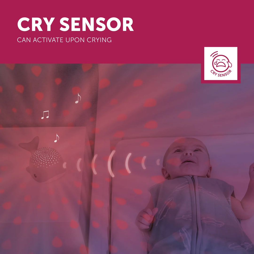 ZAZU | Wally the Whale