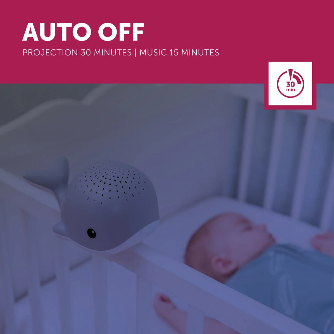 ZAZU | Wally the Whale