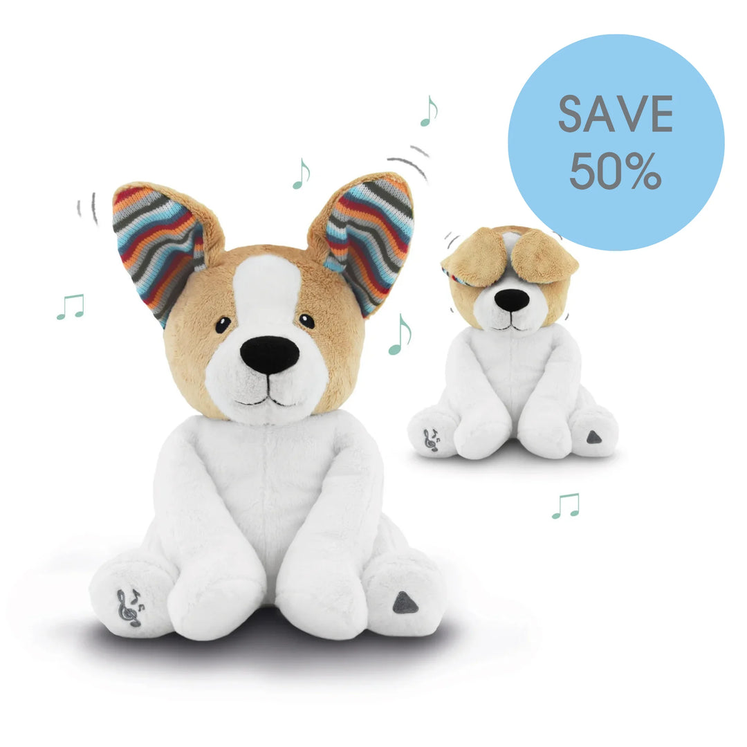 Danny peek-a-boo toy on a white background.