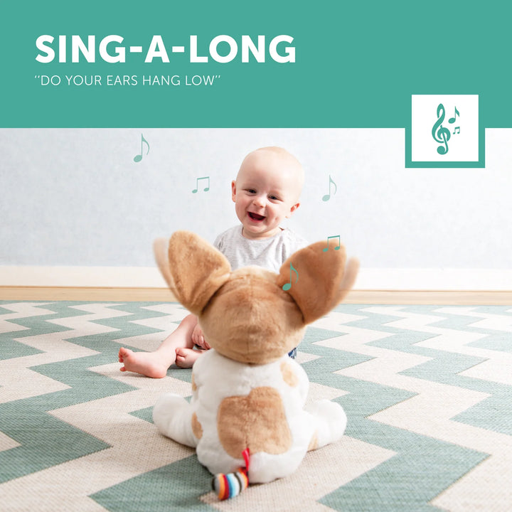Child sitting on a rug with a plush toy dog, accompanied by text 'Sing-A-Long' and musical notes.