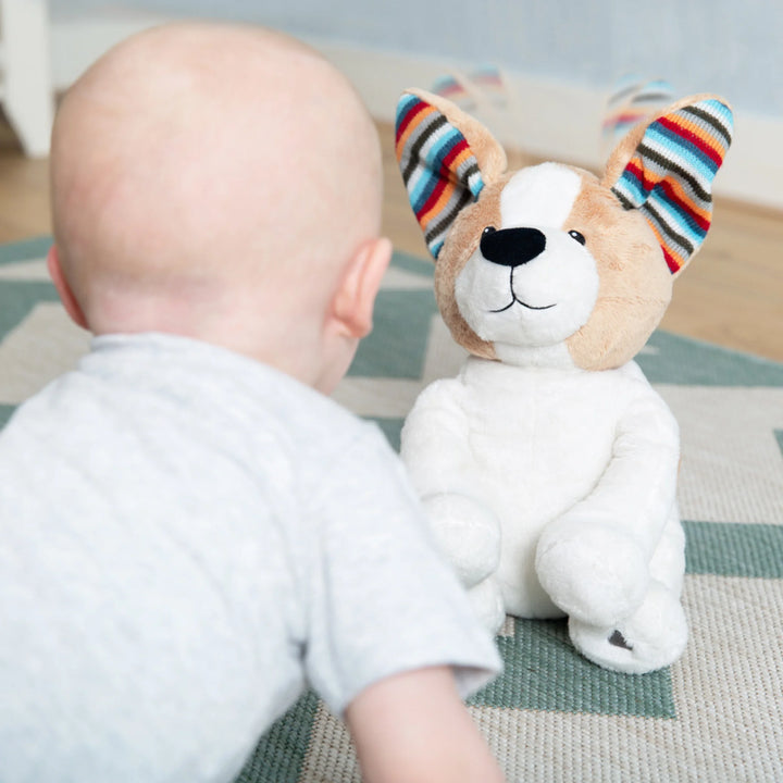 Baby crawling toward ZAZU Danny Peek-a-Boo Soft Toy, an interactive plush puppy with colorful flapping ears, designed to engage babies with sound and movement for sensory and developmental play.