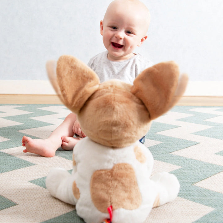 Smiling baby playing with ZAZU Danny Peek-a-Boo Soft Toy, a plush interactive dog with flapping ears and playful sounds, perfect for baby sensory development and interactive playtime fun.