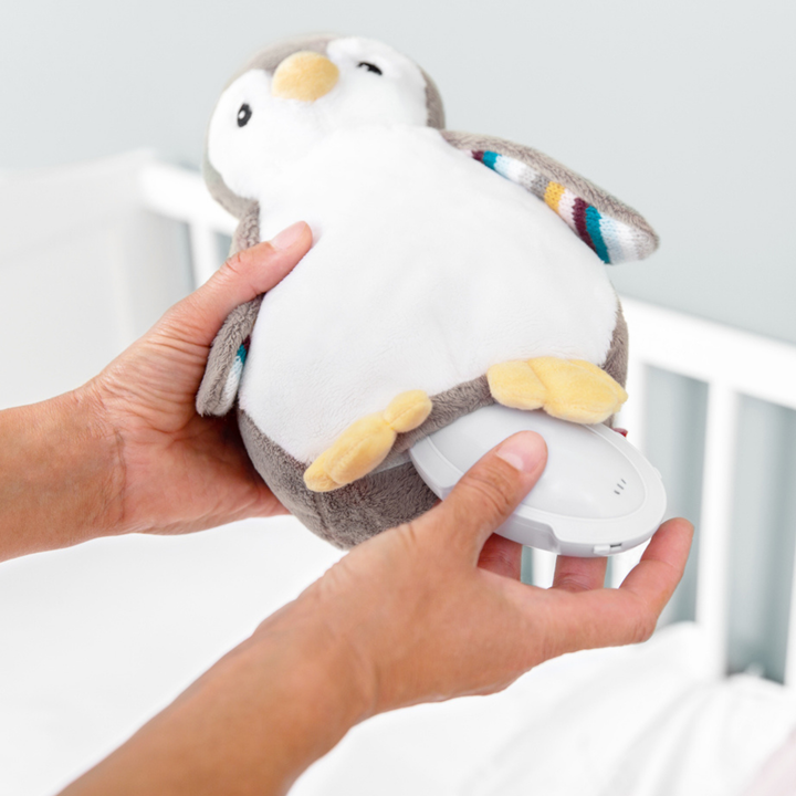 Hands inserting sound and light module into ZAZU Phoebe penguin baby soother plush toy. Soft penguin sleep aid features removable module with cry sensor, heartbeat sounds, lullabies, and warm night light to help babies sleep peacefully.