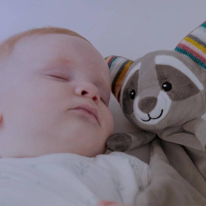 Sleeping baby cuddling the ZAZU Robin raccoon baby comforter - soft plush security blanket designed to soothe and support infant sleep.