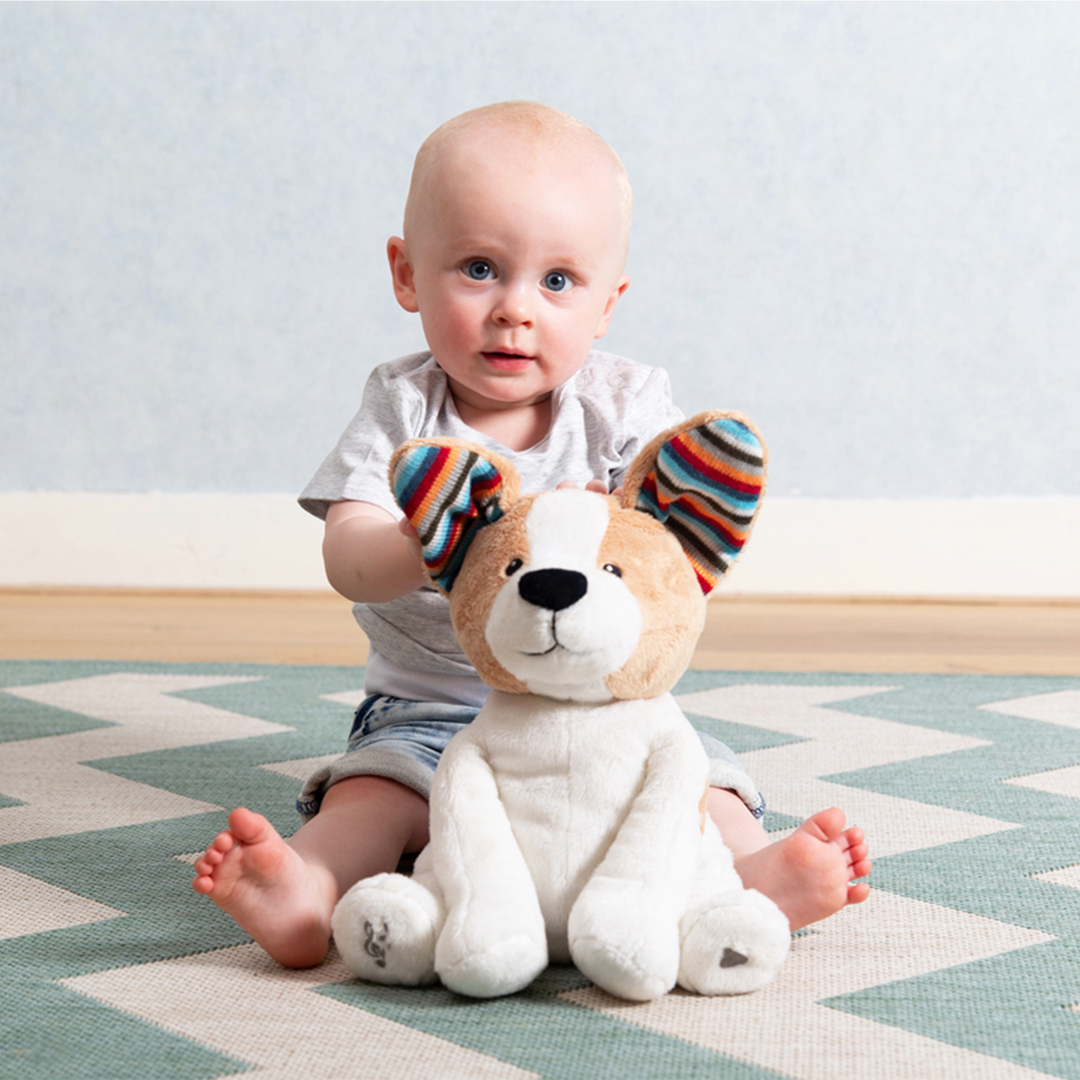 Zazu Peek A Boo Toy Danny Clever Clogs